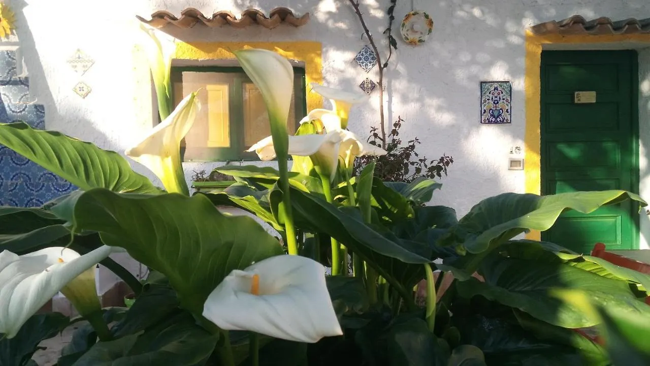 Zagara Di Sicilia Vila Marsala