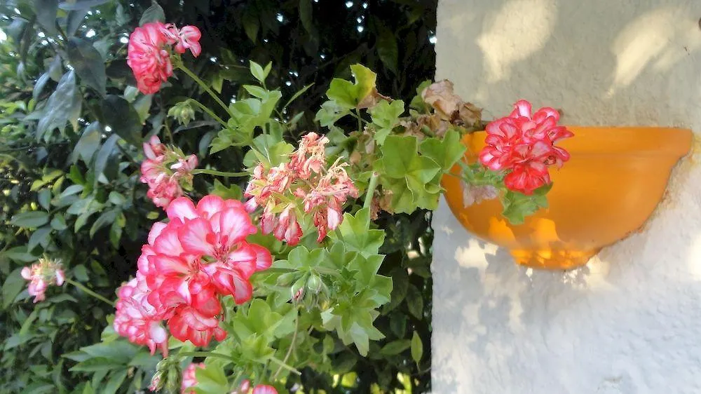 Zagara Di Sicilia Vila Marsala Casa de Férias